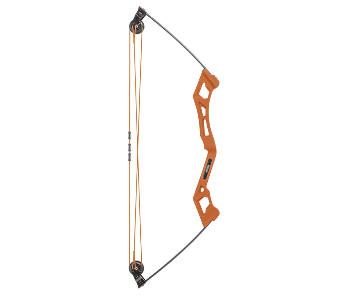 Bear Archery Youth Bow Package Apprentice